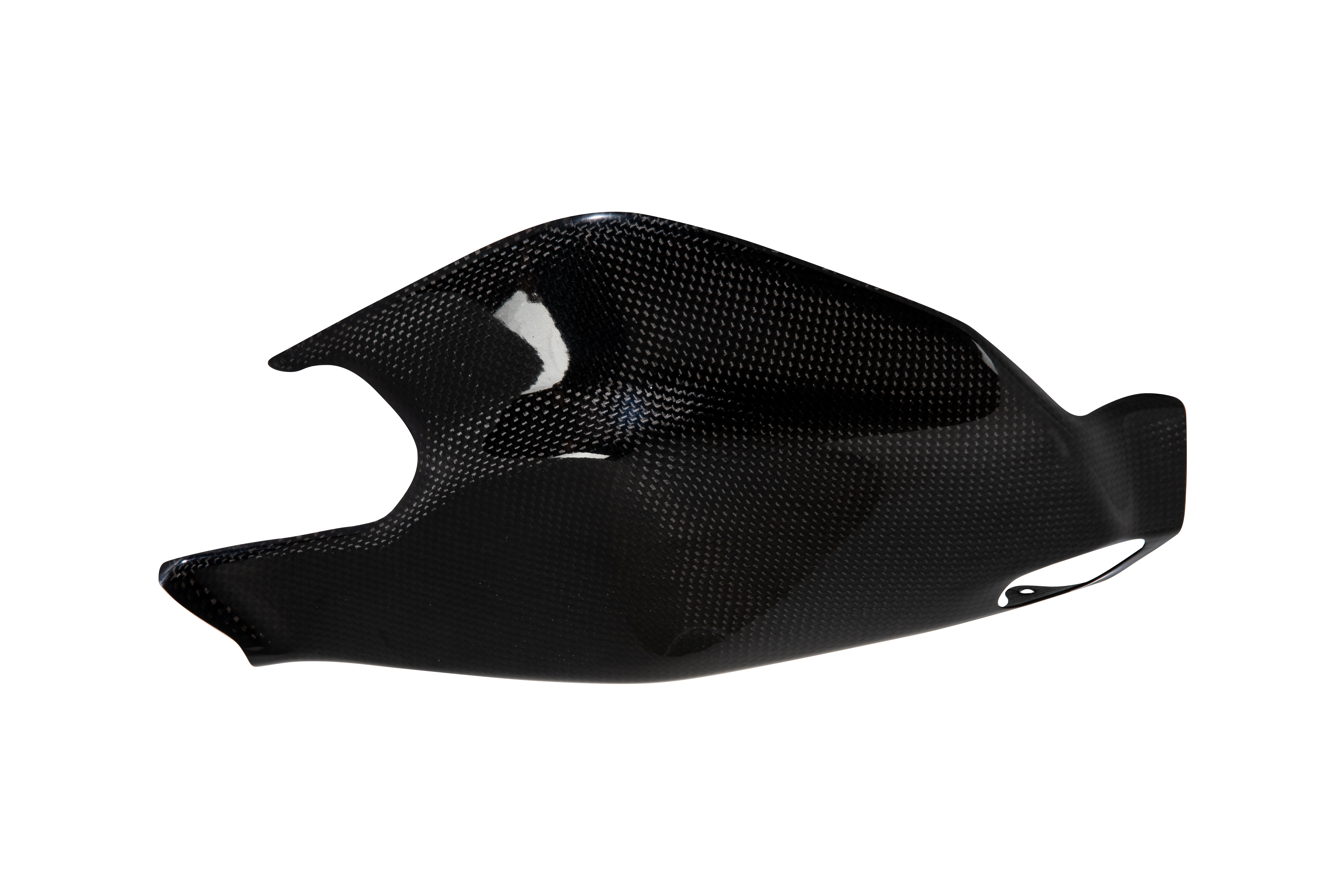 ARM PROTECTIONS DUCATI PANIGALE 1199/1299 (12-17)