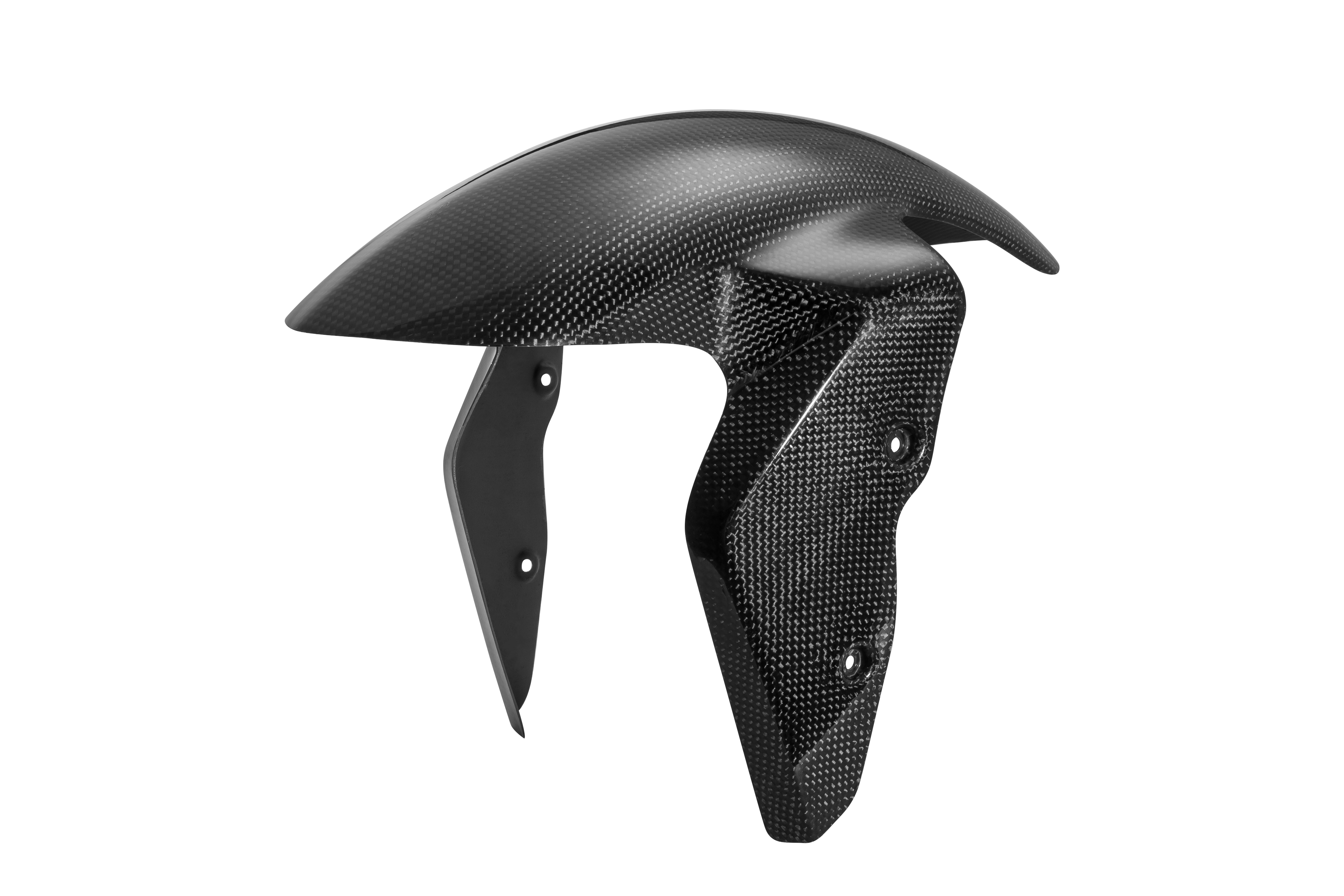 FRONT MUDGUARD BMW S1000 R (14-16)